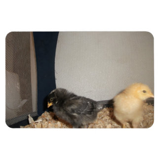 Magnet Flexible Poussins