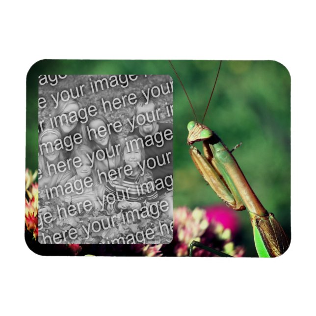 Magnet Flexible Prêter Cadre Mantis Créer Votre Propre Photo (Horizontal)