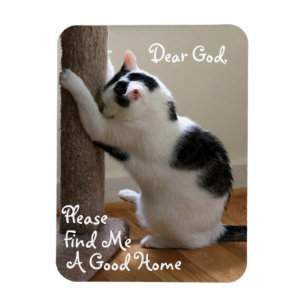 Magnet Flexible Prière du chat sans abri - Aimant