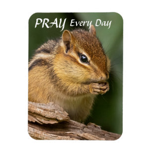 Magnet Flexible Priez chaque jour Chipmunk