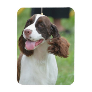 Magnet Flexible Produit de personnaliser