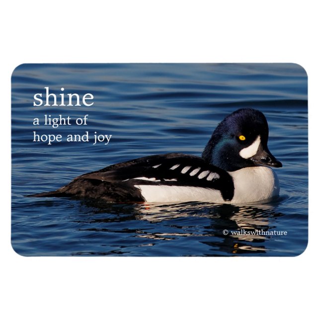 Magnet Flexible Profil d'un oeil d'or de Barrow (Horizontal)