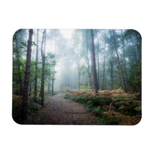 Magnet Flexible Promenade brumeuse de forêt