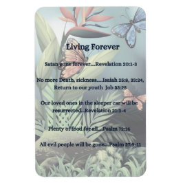 Magnet Flexible Promesse future