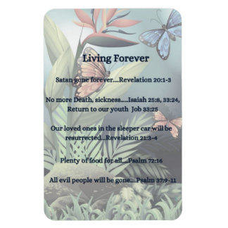 Magnet Flexible Promesse future