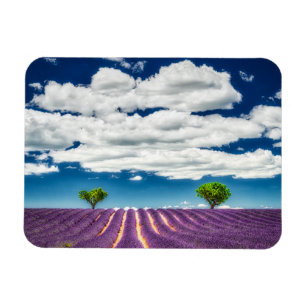 Magnet Flexible Provence