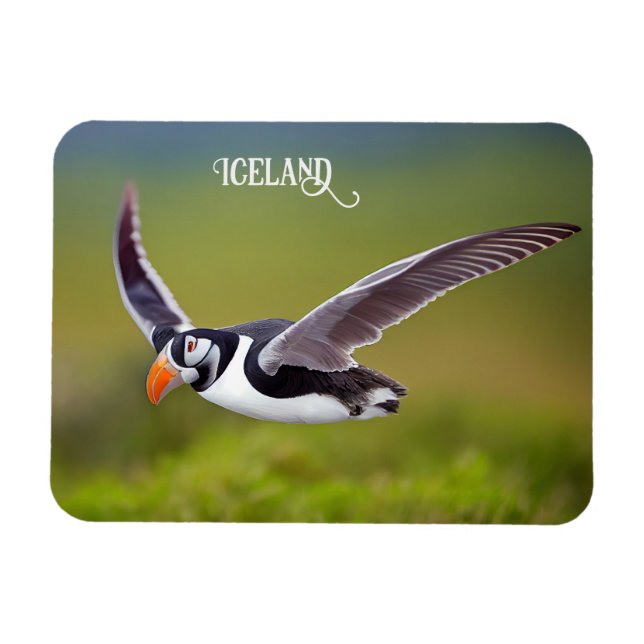 Magnet Flexible Puffin d'Islande (Horizontal)