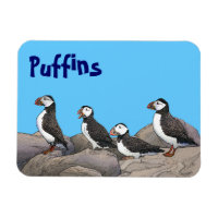 Puffins de l'Atlantique