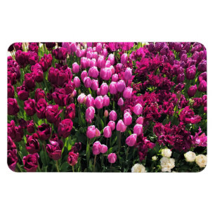 Magnet Flexible Purple Tulips