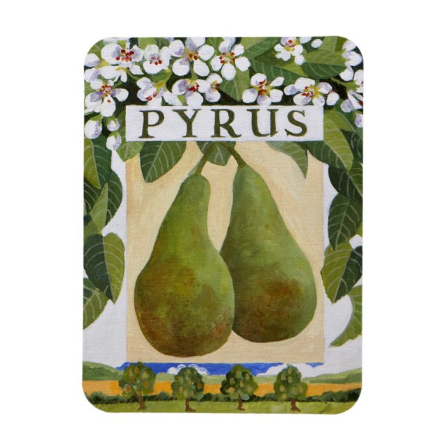 Magnet Flexible Pyrus (Vertical)