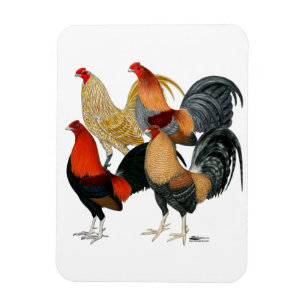 Magnet Flexible Quatre gamecocks