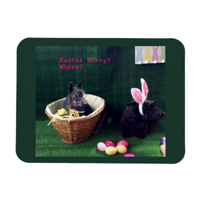 Magnet Flexible Quel Lapin (Horizontal)