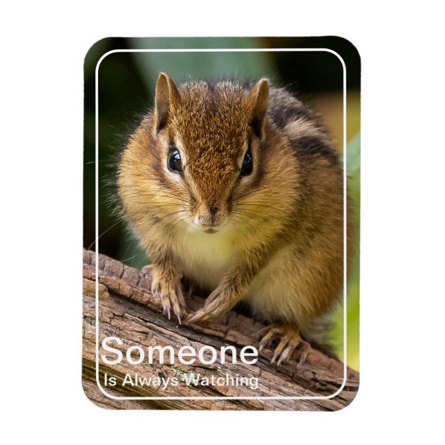 Magnet Flexible Quelqu'un regarde Chipmunk (Vertical)