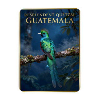 Magnet Flexible 🐦 Quetzal resplendissant forêt nuageuse du Guatem