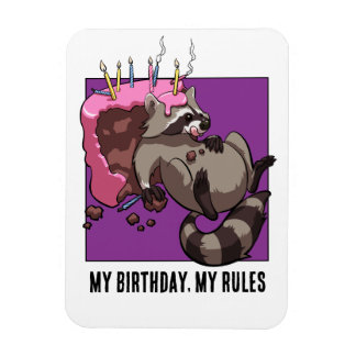 Magnet Flexible Quirky Raccoon Character My Birthday My Rules Cake