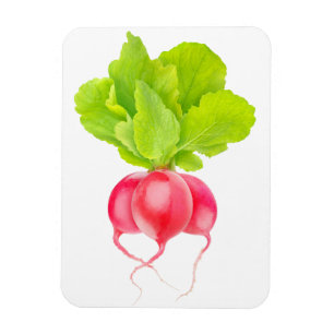 Magnet Flexible Radis rouges