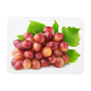 Magnet Flexible raisins roses