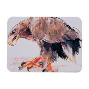 Magnet Flexible Raptor 2001