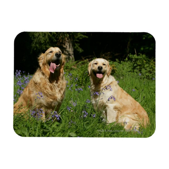 Magnet Flexible Récipiendaires en or en herbe (Horizontal)