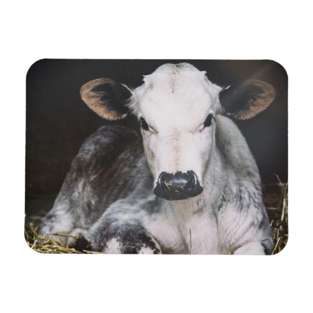 Magnet Flexible Récolte de jour occupée (Horizontal)