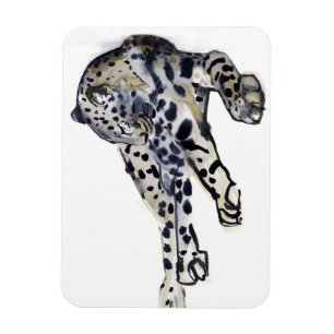 Magnet Flexible Recteur