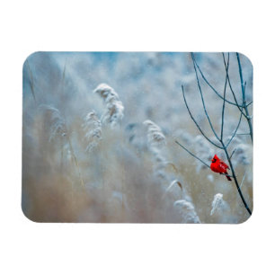 Magnet Flexible Red Cardinal dans Winter Nature Photo de Christmas