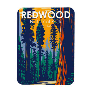 Magnet Flexible Redwood National Park Californie Vintage