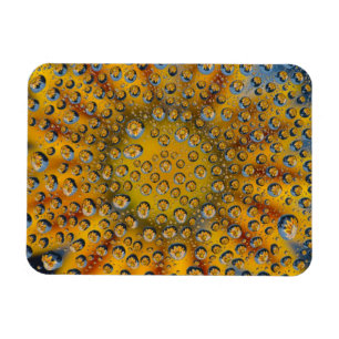 Magnet Flexible Reflet de goutte de rosée sur une fleur, Crescent 
