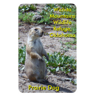 Magnet Flexible Refuge faunique des monts Wichita Prairie Dog