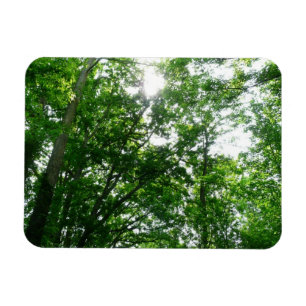 Magnet Flexible Regard sur les arbres d'été