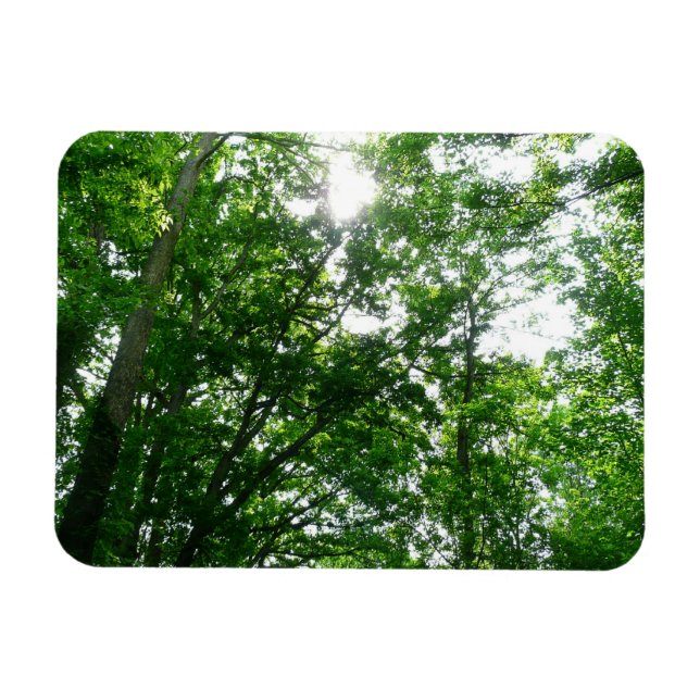 Magnet Flexible Regard sur les arbres d'été (Horizontal)