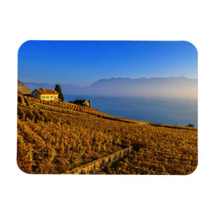 Magnet Flexible Région de Lavaux, Vaud, Suisse