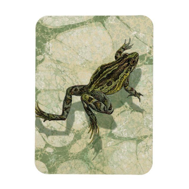 Magnet Flexible Remonter le crapaud dans l'eau (Vertical)