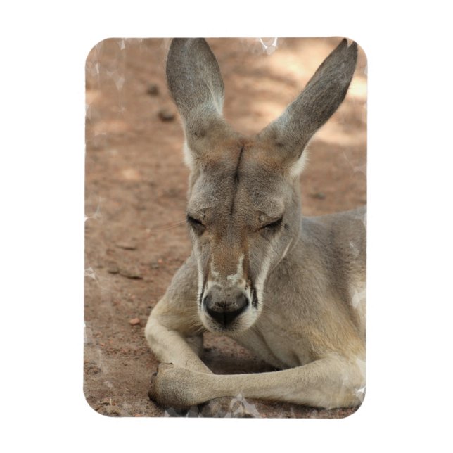 Magnet Flexible Repose de l'aimant Premium Kangaroo (Vertical)