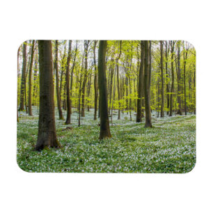 Magnet Flexible Ressort à la vie