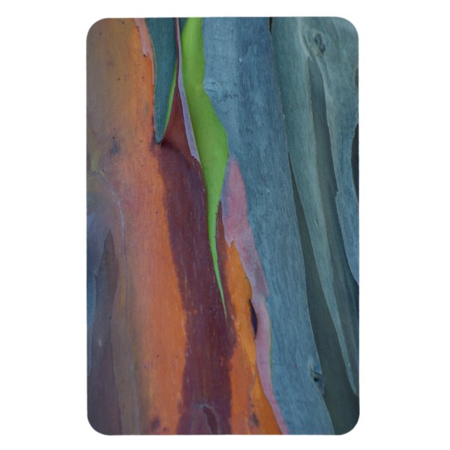 Magnet Flexible Résumé d'arbre à gomme arc-en-ciel (Vertical)