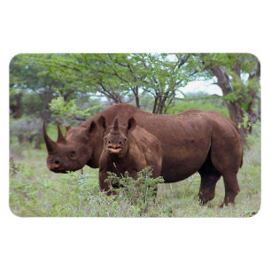Magnet Flexible Rhino noir avec Calf