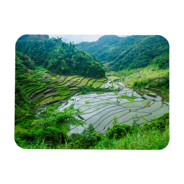 Magnet Flexible Rice terrace landscape, Philippines (Horizontal)