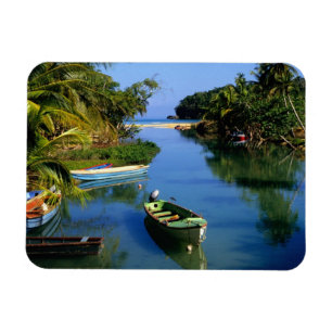 Magnet Flexible Rivière pittoresque près d'Ocho Rios en Jamaïque