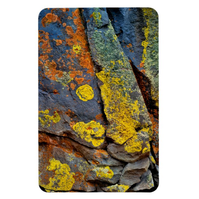 Magnet Flexible Roches couvertes de lichen (Vertical)