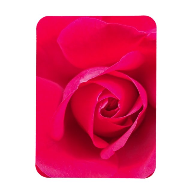 Magnet Flexible Romantic Red Pink Rose v2 (Vertical)