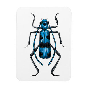 Magnet Flexible Rosalia Alpina