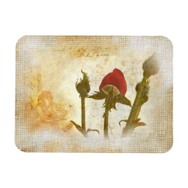 Magnet Flexible Rose (Horizontal)