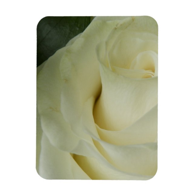 Magnet Flexible Rose blanche (Vertical)
