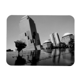 Magnet Flexible Rose blanche du souvenir