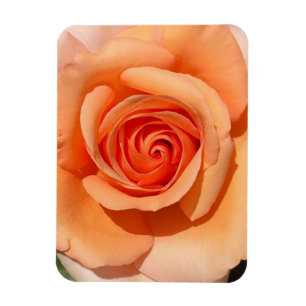 Magnet Flexible Rose de plage