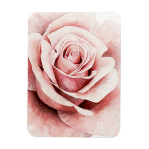 Magnet Flexible Rose de rose