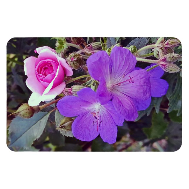 Magnet Flexible Rose & Géranium Grand aimant photo personnalisé (Horizontal)
