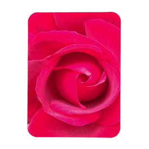 Magnet Flexible Rose romantique rouge et rose