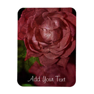 Magnet Flexible Rose rouge fissurée par Shirley Taylor
